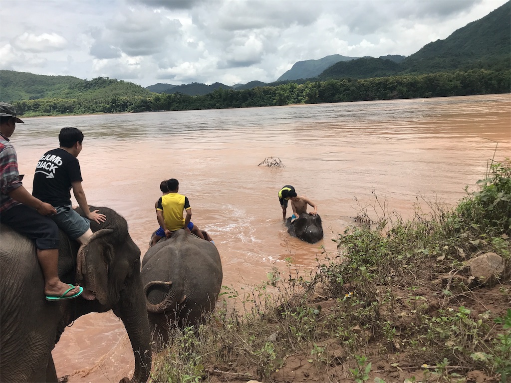 f:id:kapibaramitti:20180808115849j:image f:id:kapibaramitti:20180808115849j:image