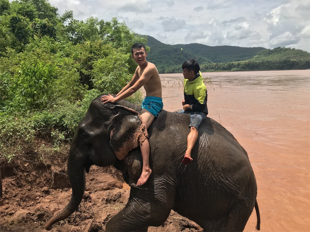 f:id:kapibaramitti:20180808115858j:image f:id:kapibaramitti:20180808115858j:image