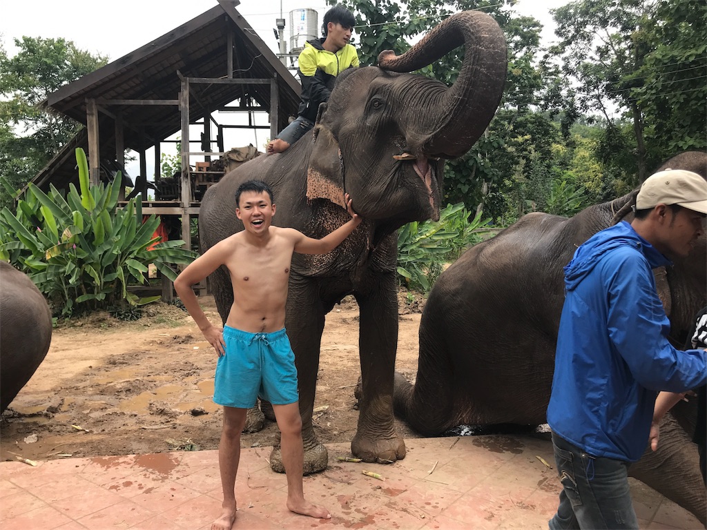 f:id:kapibaramitti:20180808120112j:image f:id:kapibaramitti:20180808120112j:image