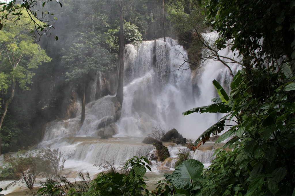 f:id:kapibaramitti:20180808120916j:image f:id:kapibaramitti:20180808120916j:image
