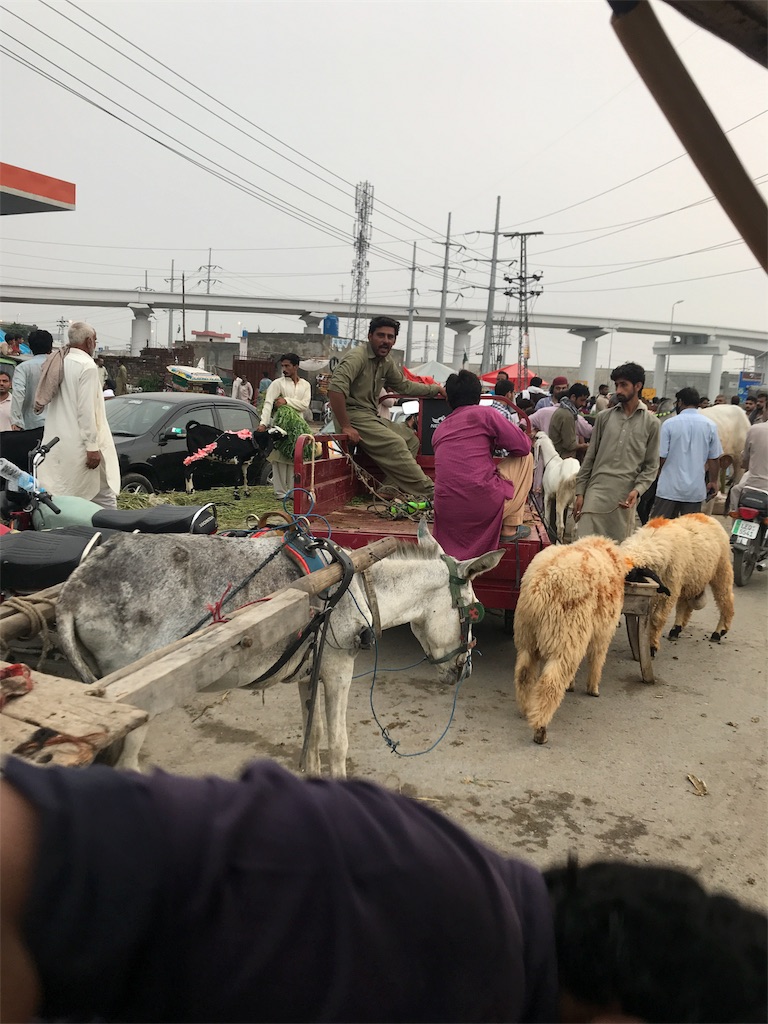 f:id:kapibaramitti:20180922085546j:image f:id:kapibaramitti:20180922085546j:image