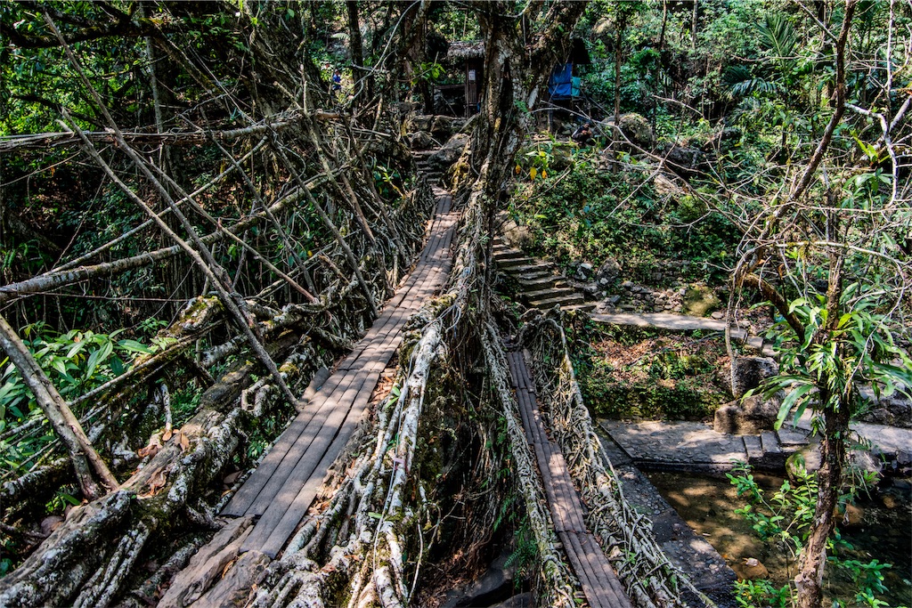 f:id:kapibaramitti:20190427161551j:image f:id:kapibaramitti:20190427161551j:image
