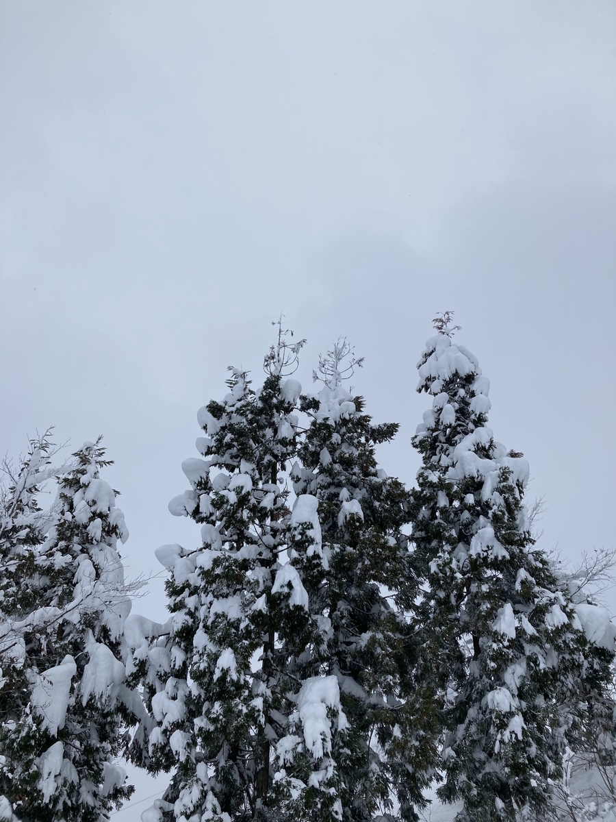 期待と失望 週刊 カピバラ銭湯