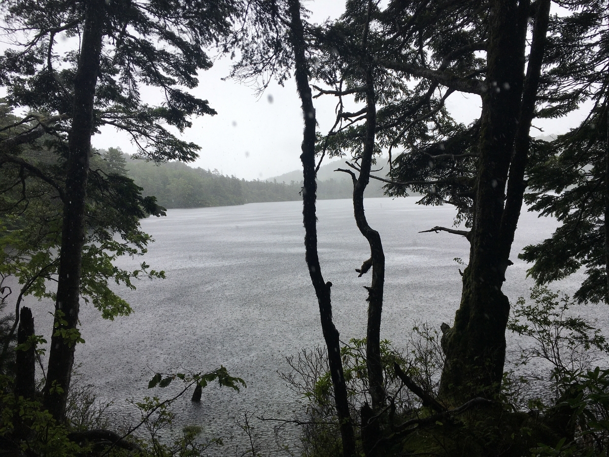 f:id:kapico:20211224000154j:plain