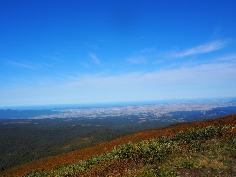 f:id:kapico:20220228163431j:plain