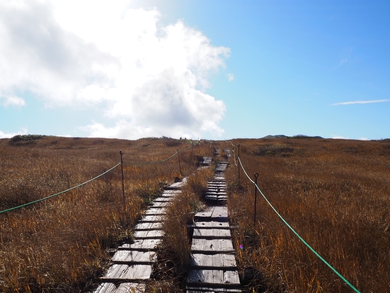 f:id:kapico:20220228163859j:plain