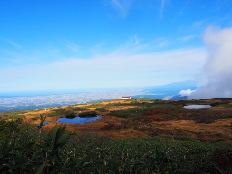 f:id:kapico:20220228164022j:plain