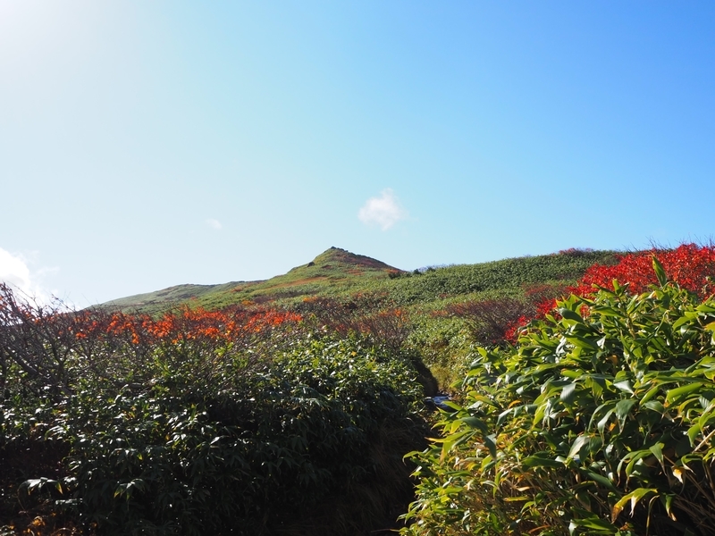 f:id:kapico:20220228164032j:plain