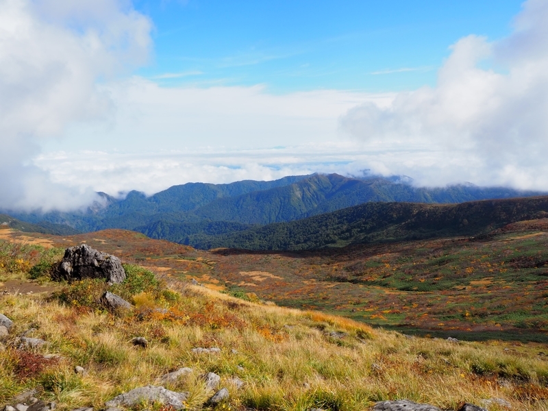 f:id:kapico:20220228164042j:plain