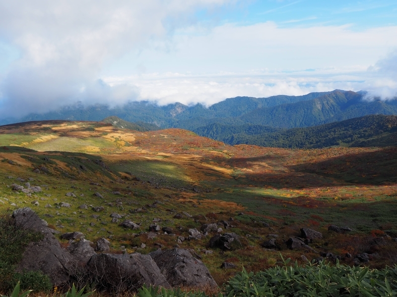 f:id:kapico:20220228164104j:plain