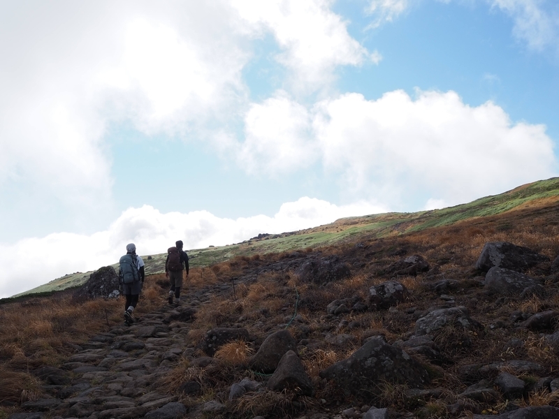 f:id:kapico:20220228165459j:plain