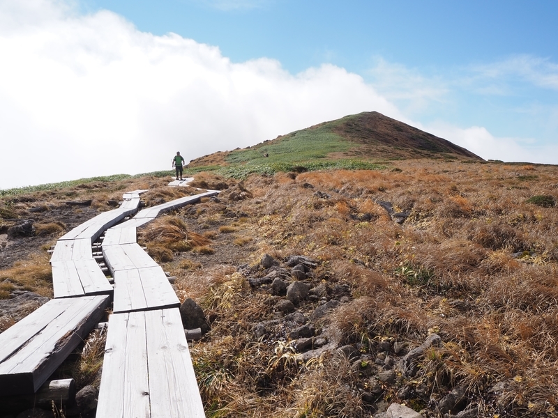 f:id:kapico:20220228165927j:plain