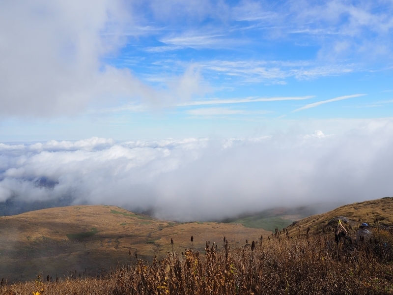 f:id:kapico:20220228173042j:plain