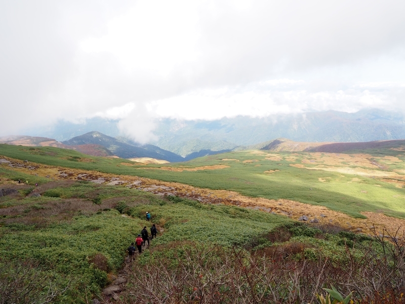 f:id:kapico:20220228173113j:plain