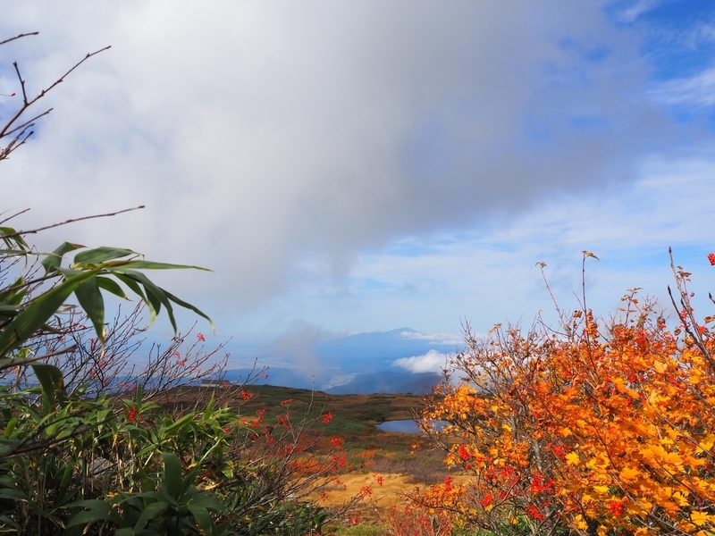 f:id:kapico:20220228173136j:plain