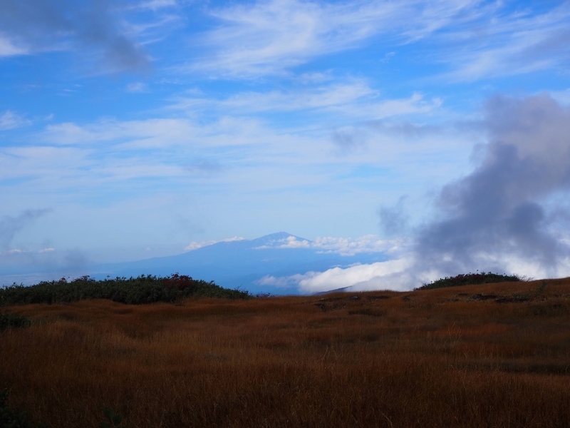 f:id:kapico:20220228173156j:plain