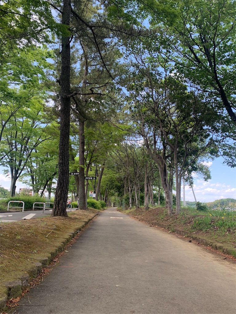 f:id:kapimochimochi:20210504153943j:image f:id:kapimochimochi:20210504153943j:image