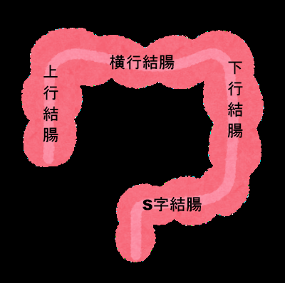 f:id:kapisann:20201112013306p:plain