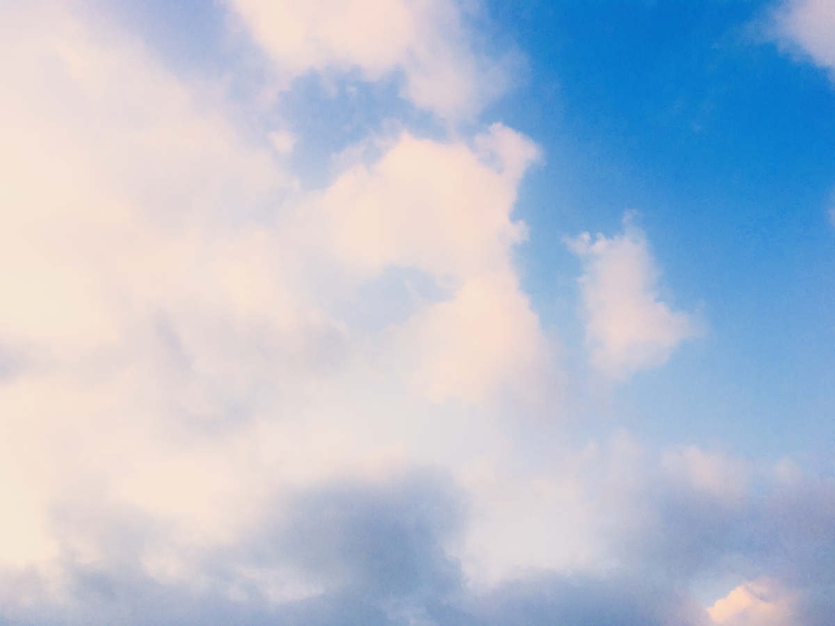 f:id:kapka123:20190909224301j:plain