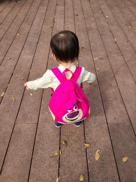 f:id:kapopi:20201014194554j:image