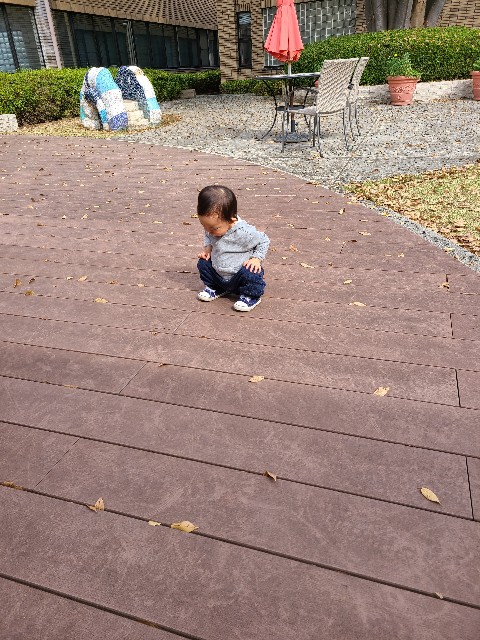 f:id:kapopi:20201023192136j:image