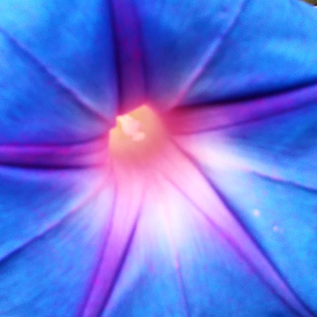 f:id:kappa25kun:20200630232326j:plain
