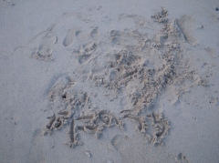 f:id:kappaizm:20100924145041j:image