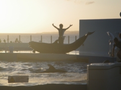 f:id:kappaizm:20100924145229j:image