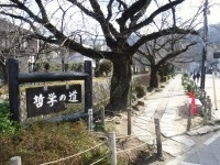 哲学の道