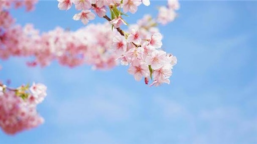 f:id:kappanomimikaki:20210326113441j:image