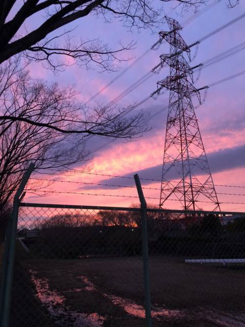f:id:kappou_oosaki:20180330205514j:plain f:id:kappou_oosaki:20180330205514j:plain