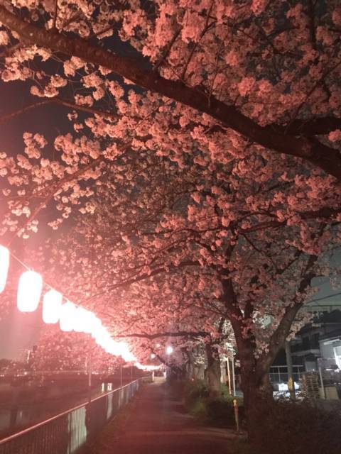 f:id:kappou_oosaki:20180405185256j:plain f:id:kappou_oosaki:20180405185256j:plain