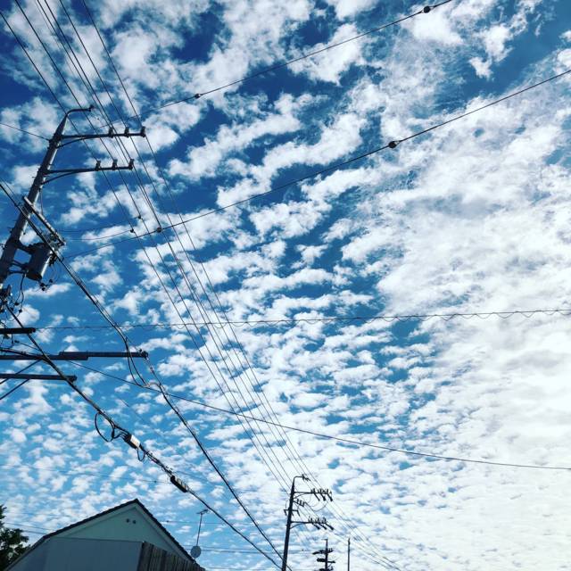 f:id:kappou_oosaki:20180508212700j:plain f:id:kappou_oosaki:20180508212700j:plain