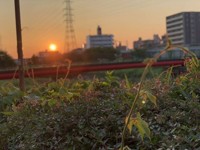 f:id:kappou_oosaki:20180717184321j:plain