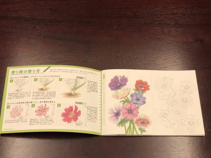 f:id:kappou_oosaki:20181113211756j:plain f:id:kappou_oosaki:20181113211756j:plain