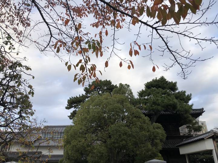 f:id:kappou_oosaki:20181129060120j:plain