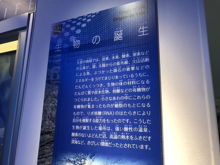 f:id:kappou_oosaki:20190312190717j:plain f:id:kappou_oosaki:20190312190717j:plain