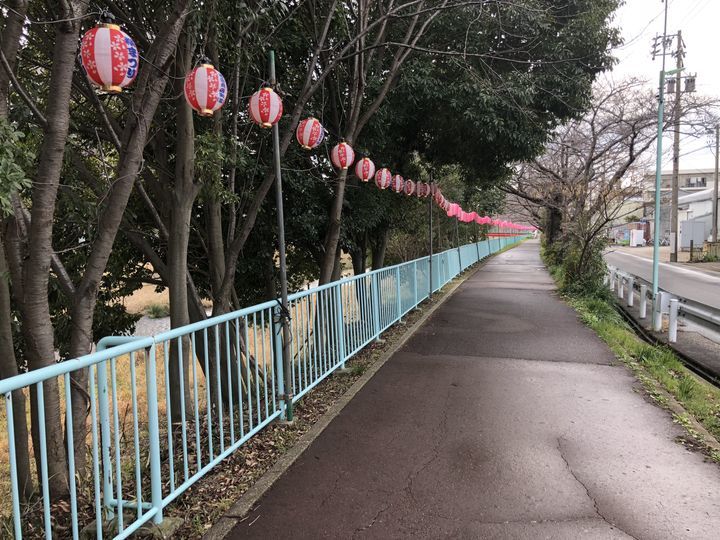 f:id:kappou_oosaki:20190318121319j:plain