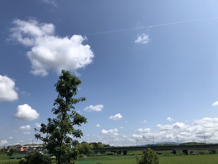 f:id:kappou_oosaki:20190613075858j:plain f:id:kappou_oosaki:20190613075858j:plain