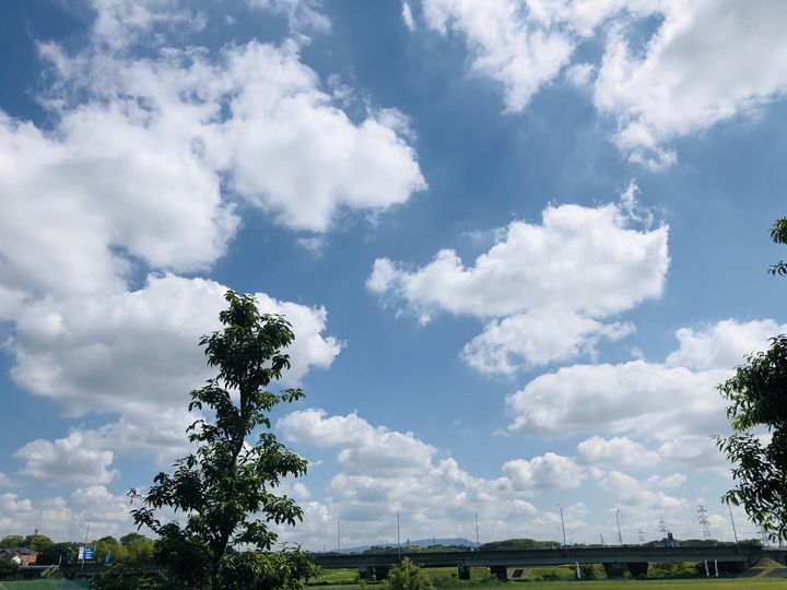 f:id:kappou_oosaki:20190614165256j:plain f:id:kappou_oosaki:20190614165256j:plain