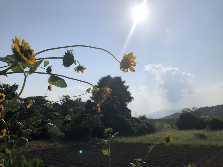 f:id:kappou_oosaki:20190822125156j:plain f:id:kappou_oosaki:20190822125156j:plain