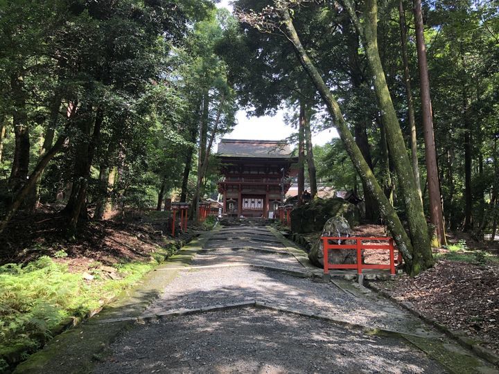 f:id:kappou_oosaki:20190903070133j:plain f:id:kappou_oosaki:20190903070133j:plain
