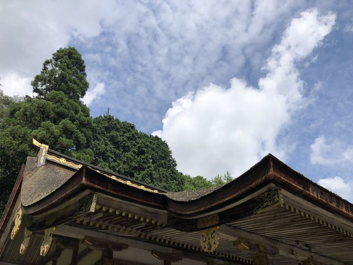 f:id:kappou_oosaki:20190903070235j:plain f:id:kappou_oosaki:20190903070235j:plain
