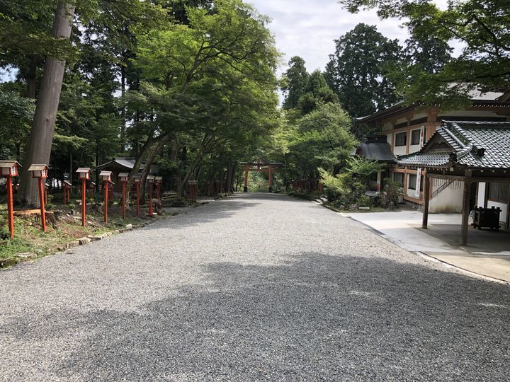 f:id:kappou_oosaki:20190903095005j:plain f:id:kappou_oosaki:20190903095005j:plain