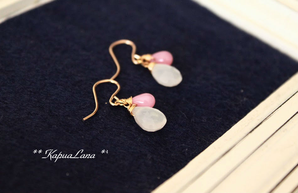 f:id:kapualana:20170214111455j:plain f:id:kapualana:20170214111455j:plain