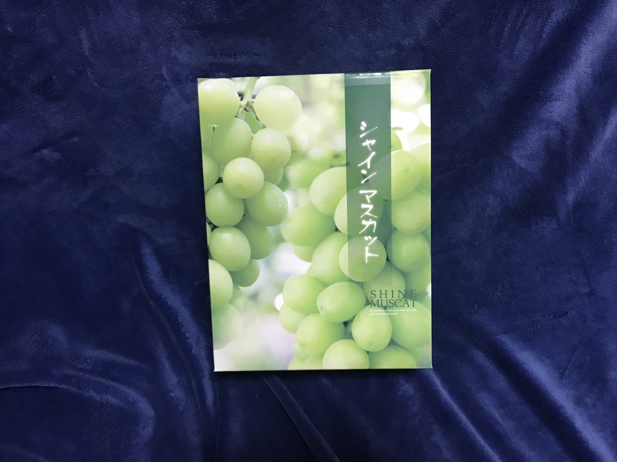 f:id:kapuchiblog:20190915181438j:plain f:id:kapuchiblog:20190915181438j:plain