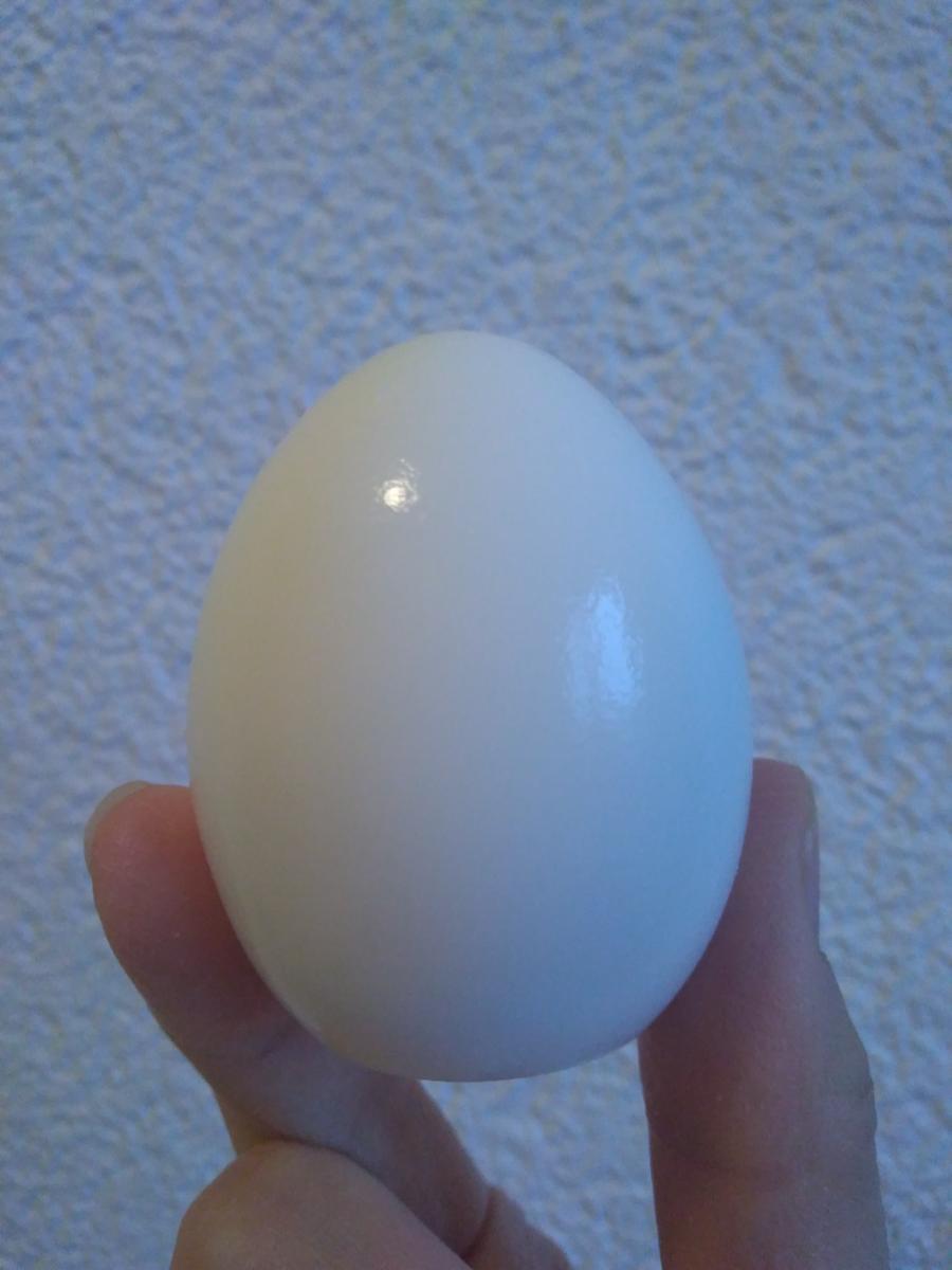 boiled-egg