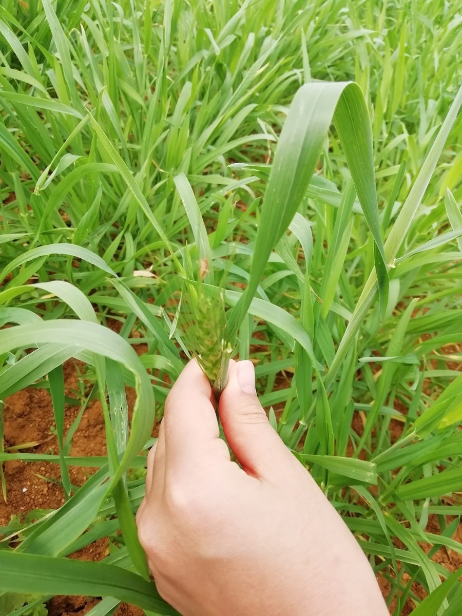 f:id:kapukosan:20200111180747j:plain f:id:kapukosan:20200111180747j:plain