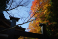 京都新聞写真コンテスト　鞍馬寺『寝殿にかかる紅葉』