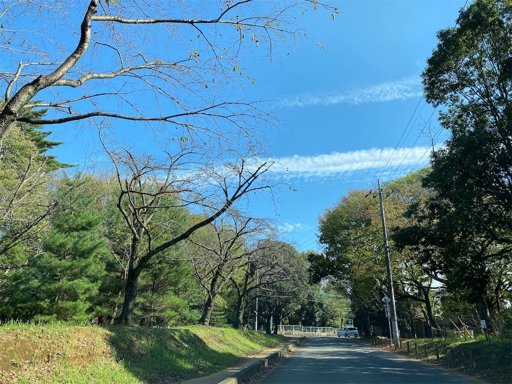 f:id:kapuritai:20211016140222j:image
